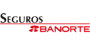 Aseguradora7-1.webp